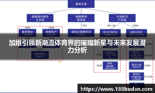 3377体育官网