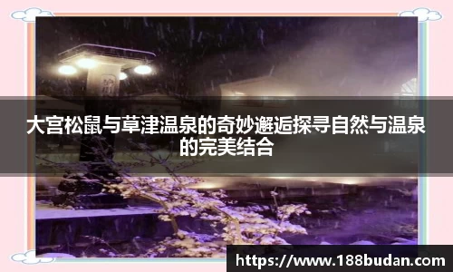 3377体育