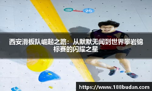 3377体育官网