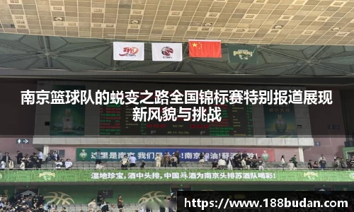 3377体育